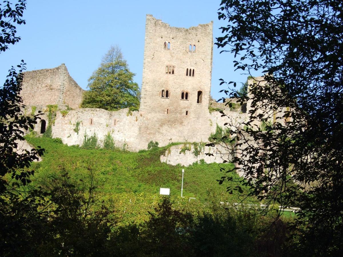 Ferienhaus Mayer In Der Sonnigen Ortenau Appartement Oberkirch  Buitenkant foto